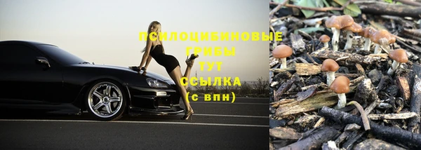 гашик Белокуриха