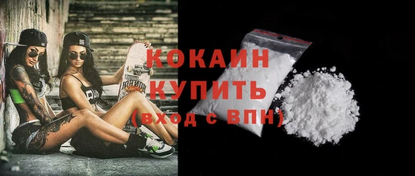 гашик Белокуриха