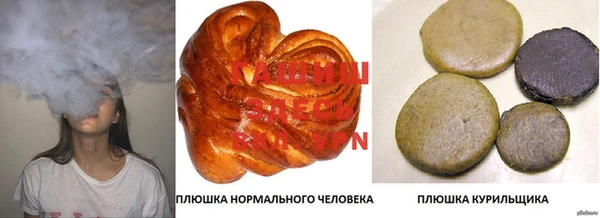 гашик Белокуриха
