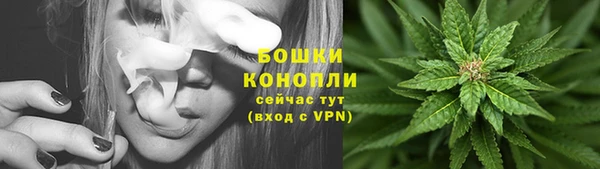 гашик Белокуриха