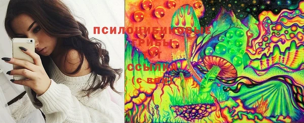 хмурый Майский
