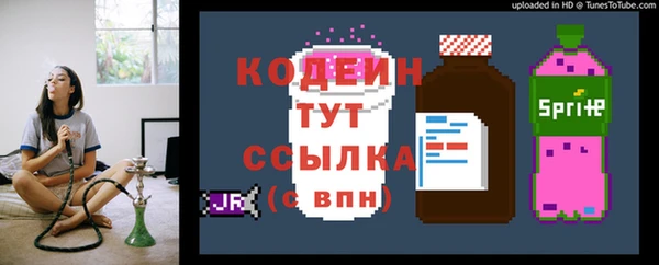 гашик Белокуриха