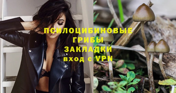 гашик Белокуриха