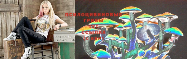 гашик Белокуриха