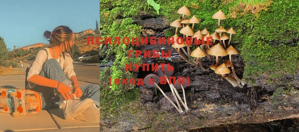 гашик Белокуриха