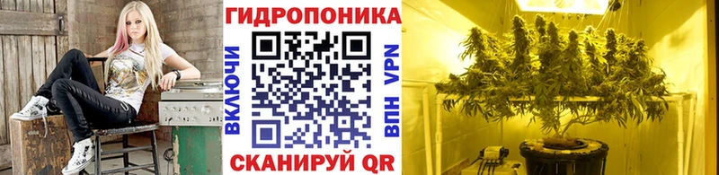 гидра ONION  наркошоп  Саяногорск  маркетплейс клад  Бошки Шишки VHQ 